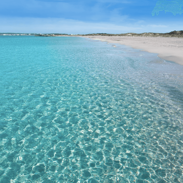 Screenshot 2024-11-28 at 10.45.14