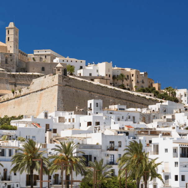 Screenshot 2024-11-28 at 10.46.15