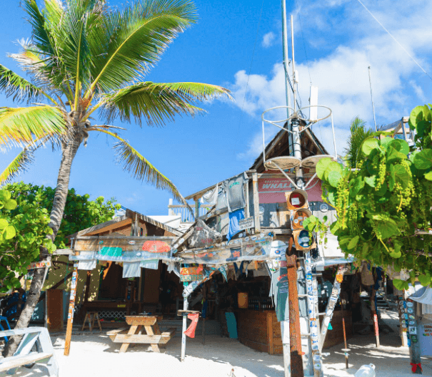 Screenshot 2024-12-05 at 17.09.54