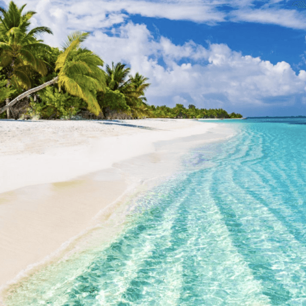 Screenshot 2024-12-09 at 17.33.45