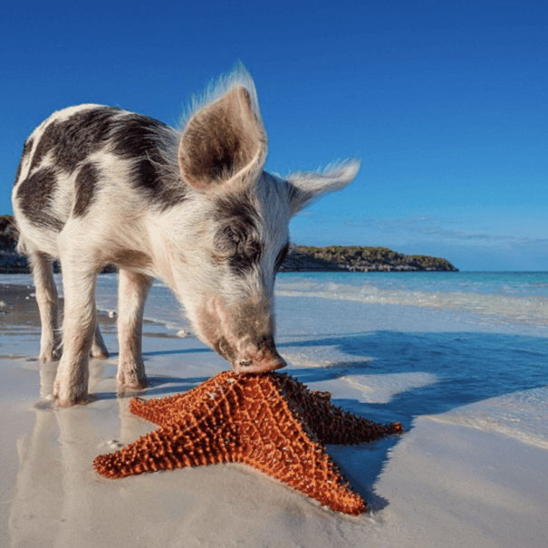 Screenshot 2024-12-09 at 17.44.30