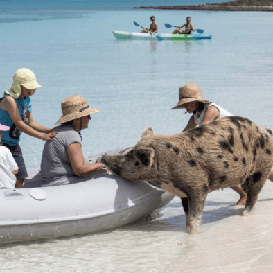 Screenshot 2024-12-09 at 17.45.03