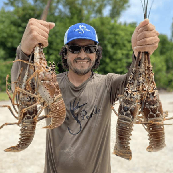 Screenshot 2024-12-09 at 17.46.41