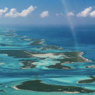 Screenshot 2025-01-03 at 11.17.33