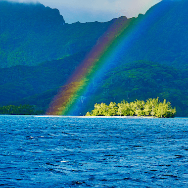 Tahiti Rainbows